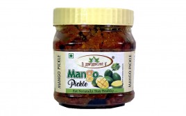 Gangawat Mango Pickle   Plastic Jar  500 grams
